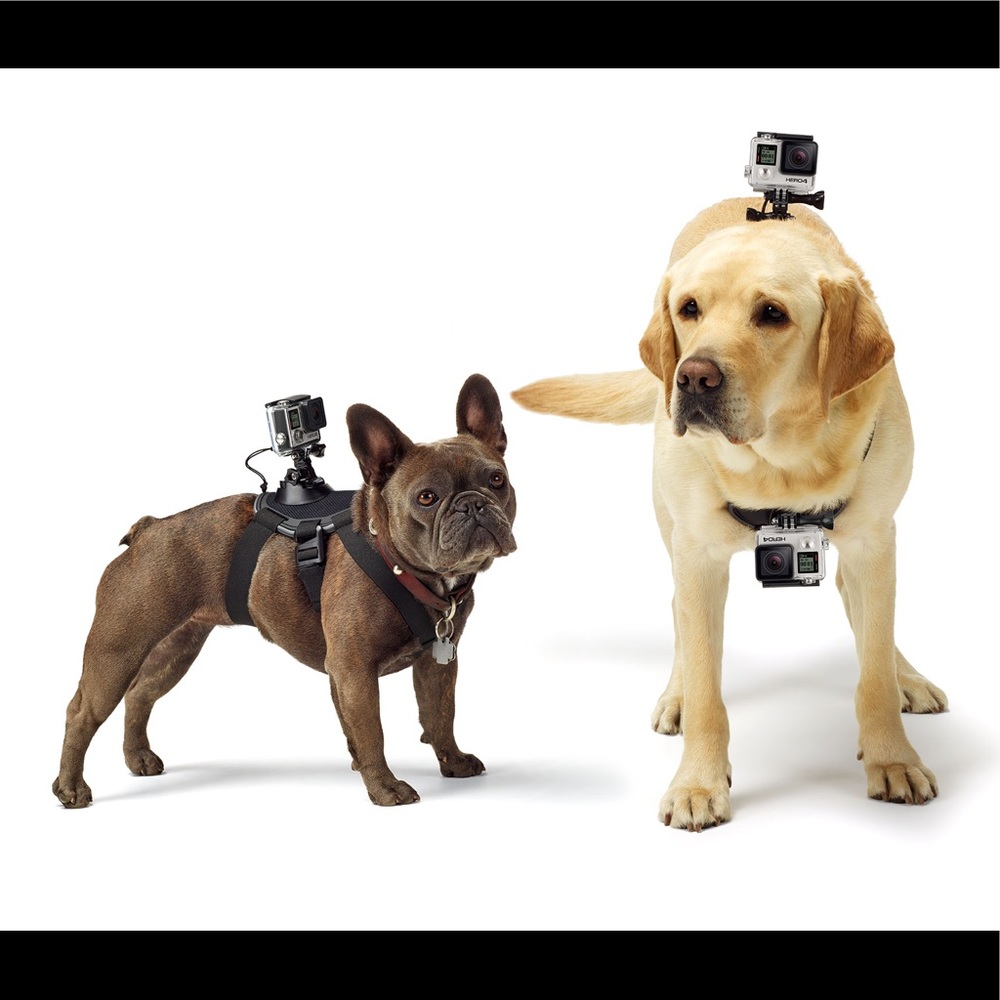 GoPro Dog Harness